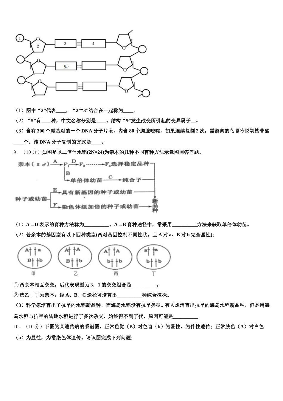 山东省实验中学等四校2025年高一下生物期末复习检测试题含解析_第3页