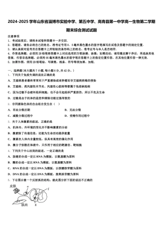 2024-2025学年山东省淄博市实验中学、第五中学、高青县第一中学高一生物第二学期期末综合测试试题含解析
