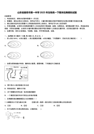 山东省曲阜市第一中学2025年生物高一下期末经典模拟试题含解析