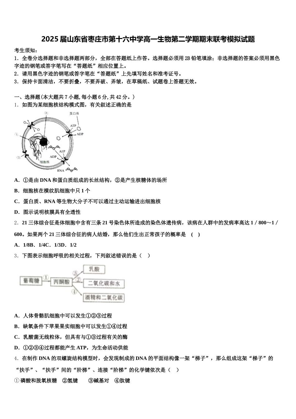 2025届山东省枣庄市第十六中学高一生物第二学期期末联考模拟试题含解析_第1页