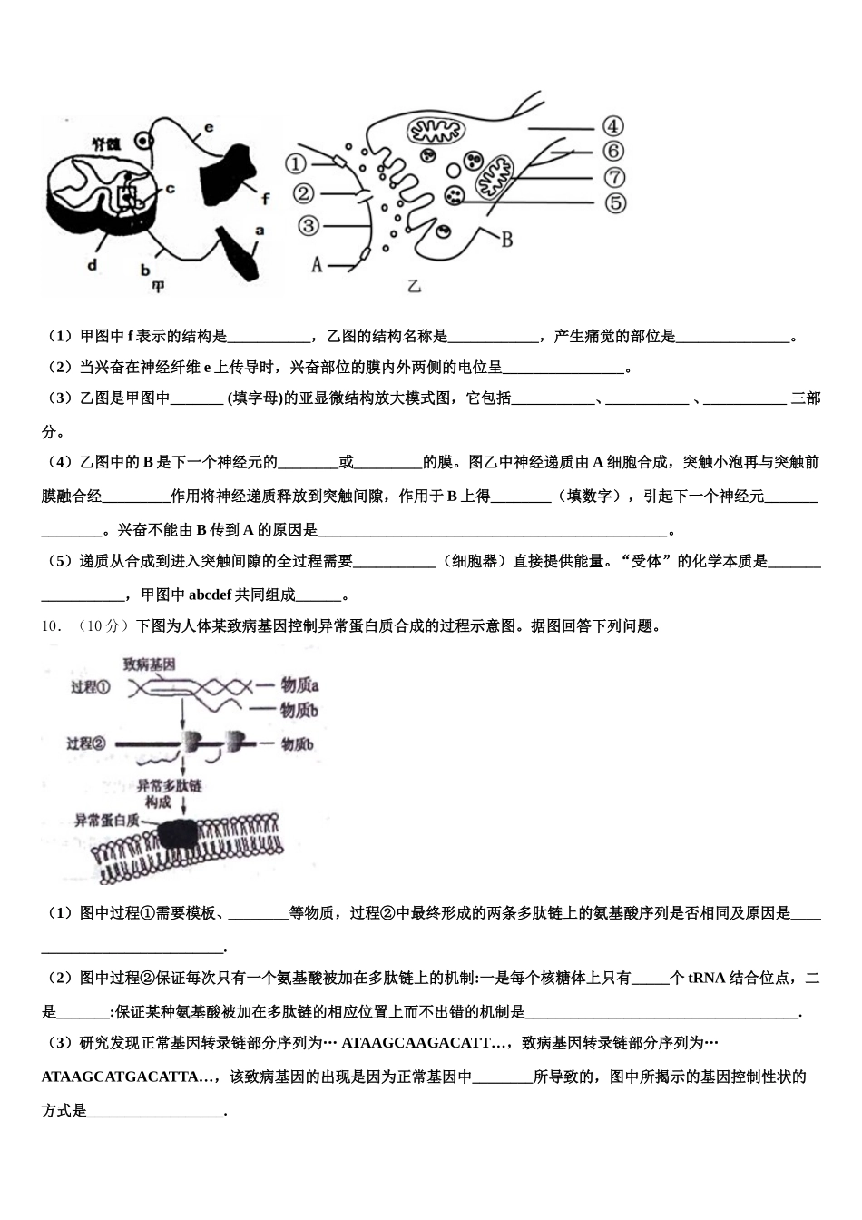 2025届山东省青岛市58中生物高一下期末综合测试试题含解析_第3页