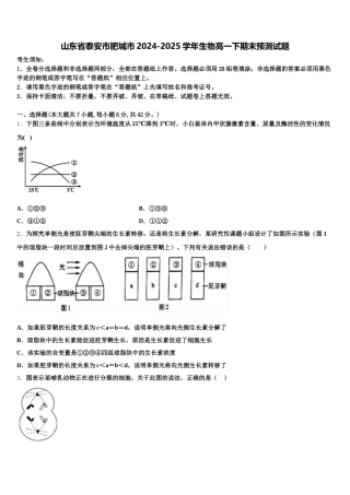 山东省泰安市肥城市2024-2025学年生物高一下期末预测试题含解析