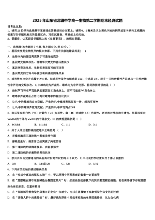 2025年山东省北镇中学高一生物第二学期期末经典试题含解析