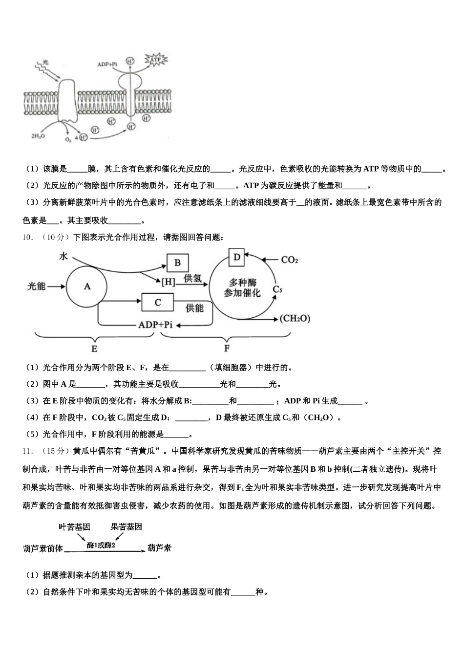 山东省济南市济钢高级中学2024-2025学年高一生物第二学期期末考试模拟试题含解析_第3页