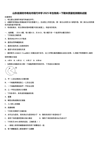山东省潍坊市寿光市现代中学2025年生物高一下期末质量检测模拟试题含解析