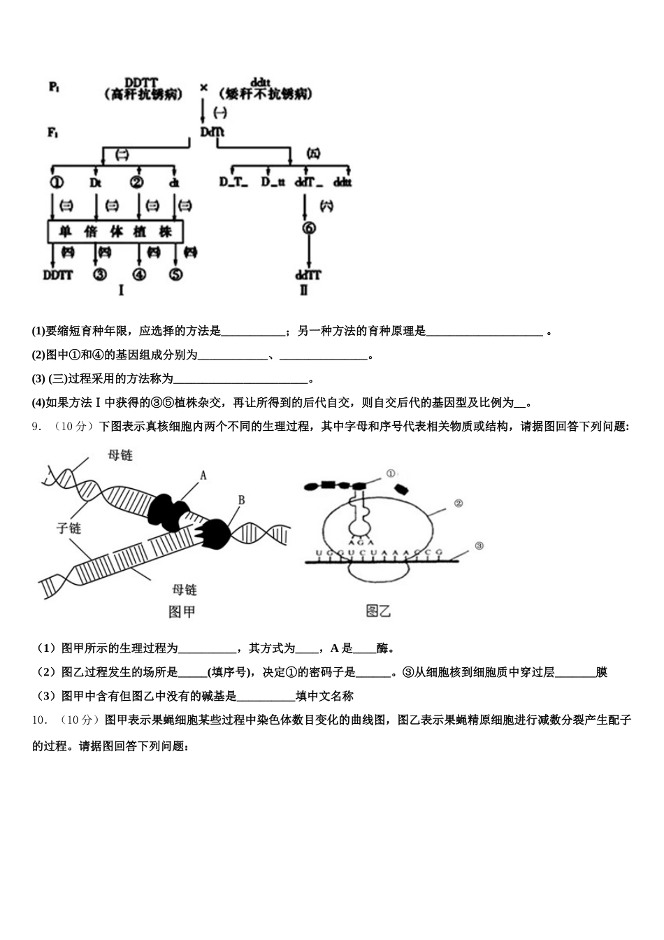 2025届山东省齐河县一中生物高一下期末质量检测模拟试题含解析_第3页