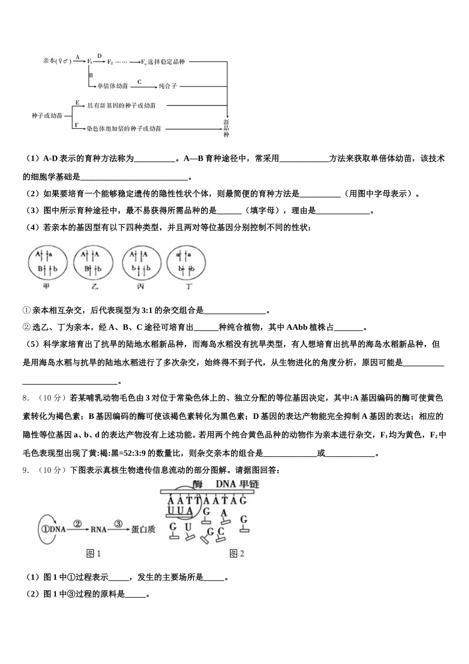 2024-2025学年山东省德州市陵城区一中生物高一下期末考试模拟试题含解析_第3页