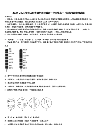 2024-2025学年山东省德州市陵城区一中生物高一下期末考试模拟试题含解析