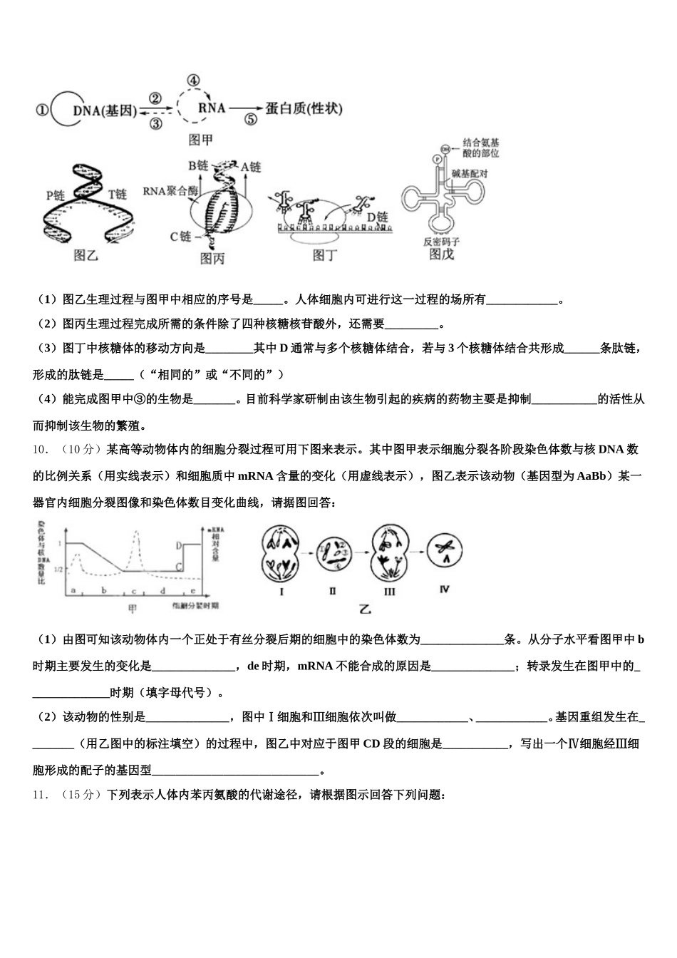 2025届山东省菏泽市单县第五中学高一生物第二学期期末统考试题含解析_第3页