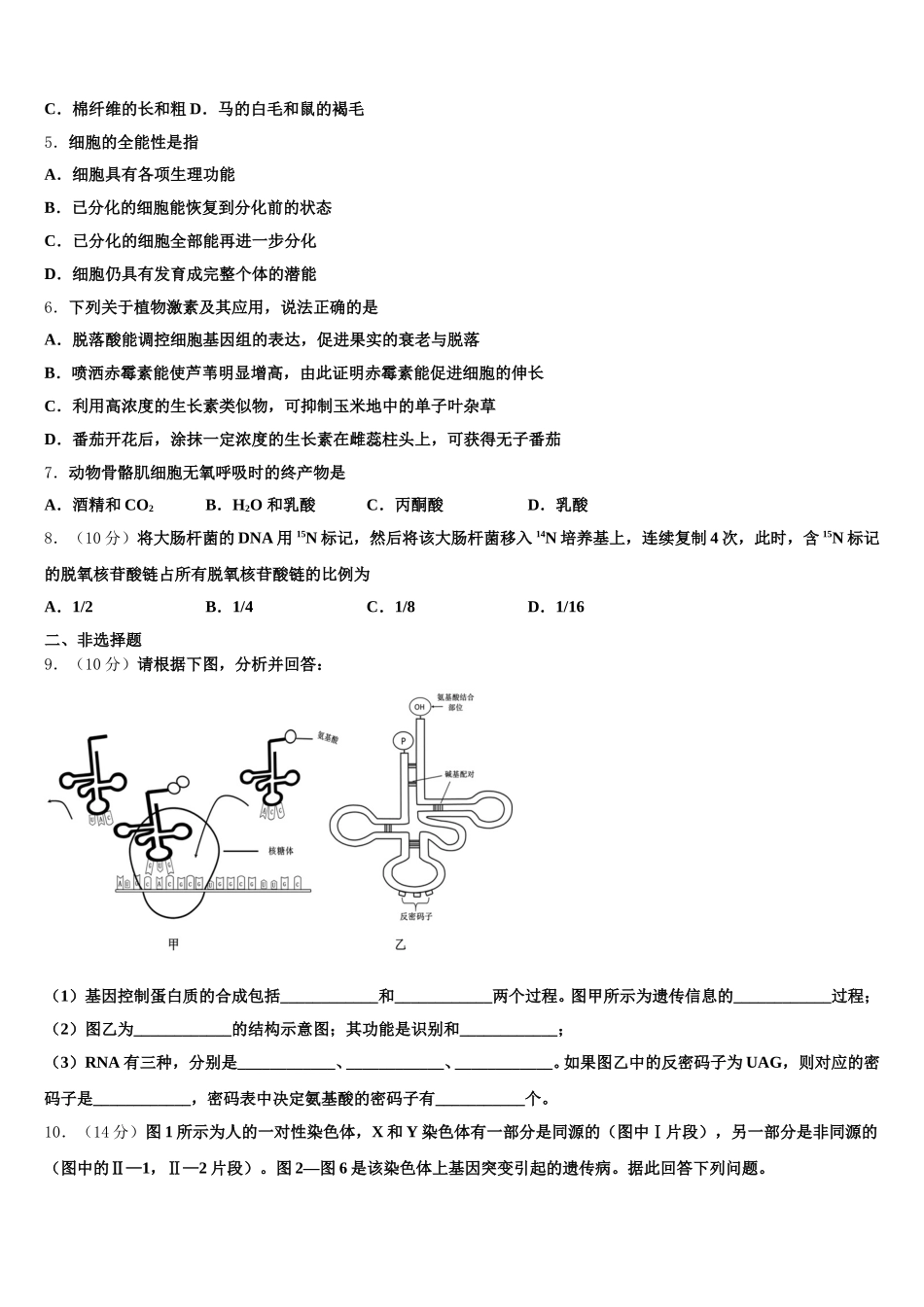 2025届山东省昌乐二中高一生物第二学期期末学业水平测试模拟试题含解析_第2页