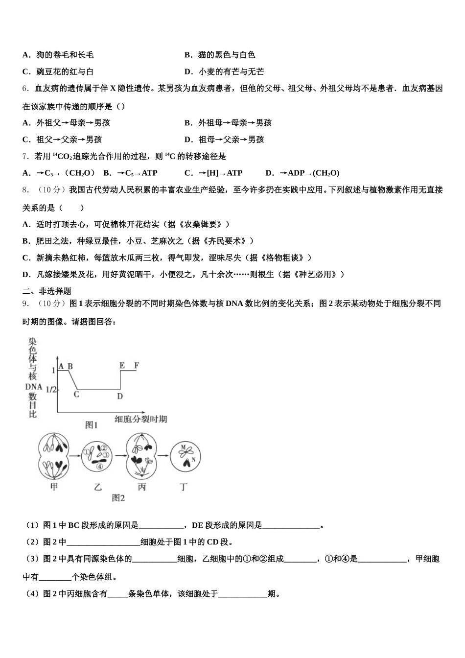 2024-2025学年山东省青岛市实验高中高一生物第二学期期末检测模拟试题含解析_第2页