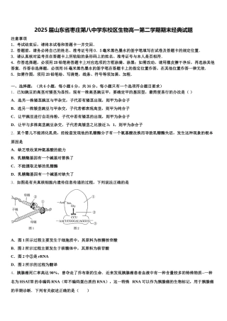 2025届山东省枣庄第八中学东校区生物高一第二学期期末经典试题含解析