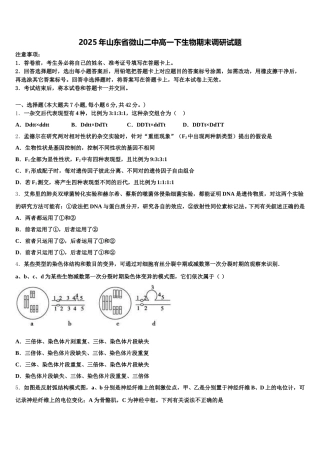 2025年山东省微山二中高一下生物期末调研试题含解析