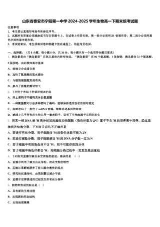 山东省泰安市宁阳第一中学2024-2025学年生物高一下期末统考试题含解析