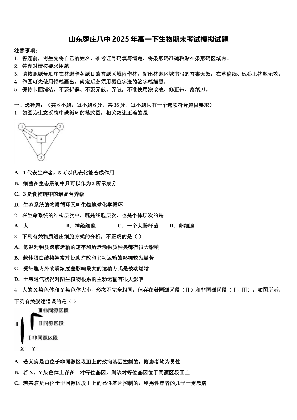 山东枣庄八中2025年高一下生物期末考试模拟试题含解析_第1页