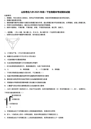 山东枣庄八中2025年高一下生物期末考试模拟试题含解析
