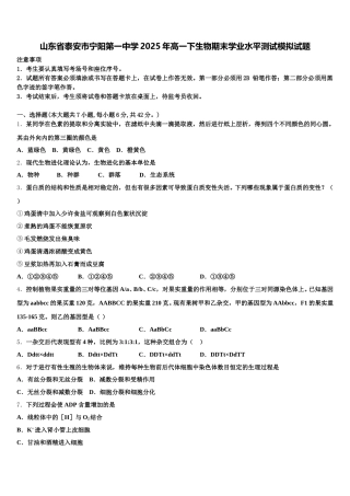 山东省泰安市宁阳第一中学2025年高一下生物期末学业水平测试模拟试题含解析
