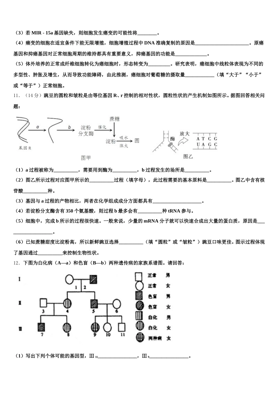 山东省聊城一中2025届高一下生物期末考试模拟试题含解析_第3页