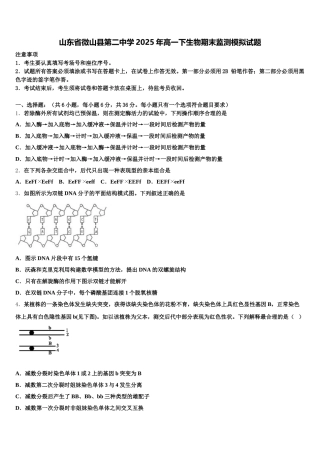 山东省微山县第二中学2025年高一下生物期末监测模拟试题含解析