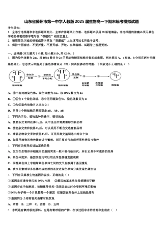 山东省滕州市第一中学人教版2025届生物高一下期末统考模拟试题含解析