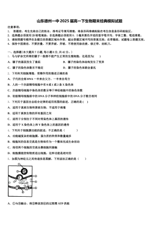 山东德州一中2025届高一下生物期末经典模拟试题含解析