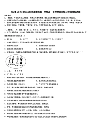 2024-2025学年山东省潍坊市第一中学高一下生物期末复习检测模拟试题含解析