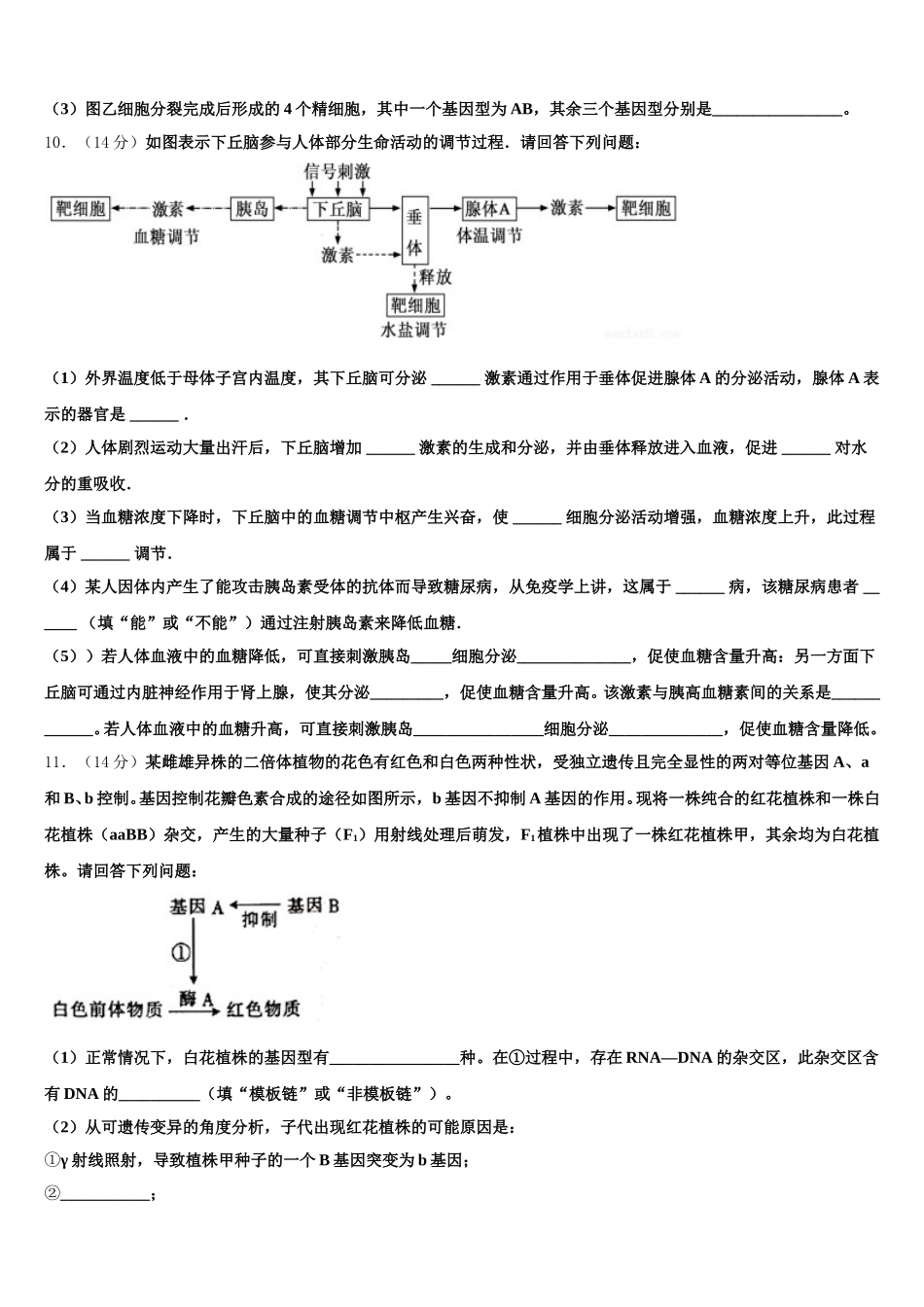 2024-2025学年山东省莱阳市一中高一下生物期末联考模拟试题含解析_第3页