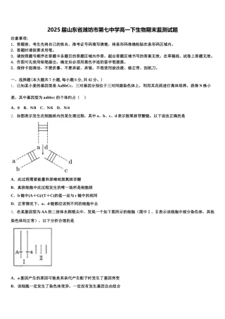 2025届山东省潍坊市第七中学高一下生物期末监测试题含解析