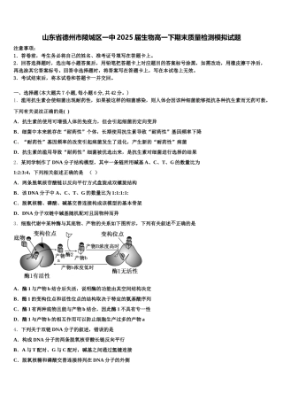 山东省德州市陵城区一中2025届生物高一下期末质量检测模拟试题含解析