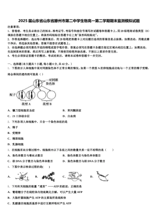 2025届山东省山东省滕州市第二中学生物高一第二学期期末监测模拟试题含解析