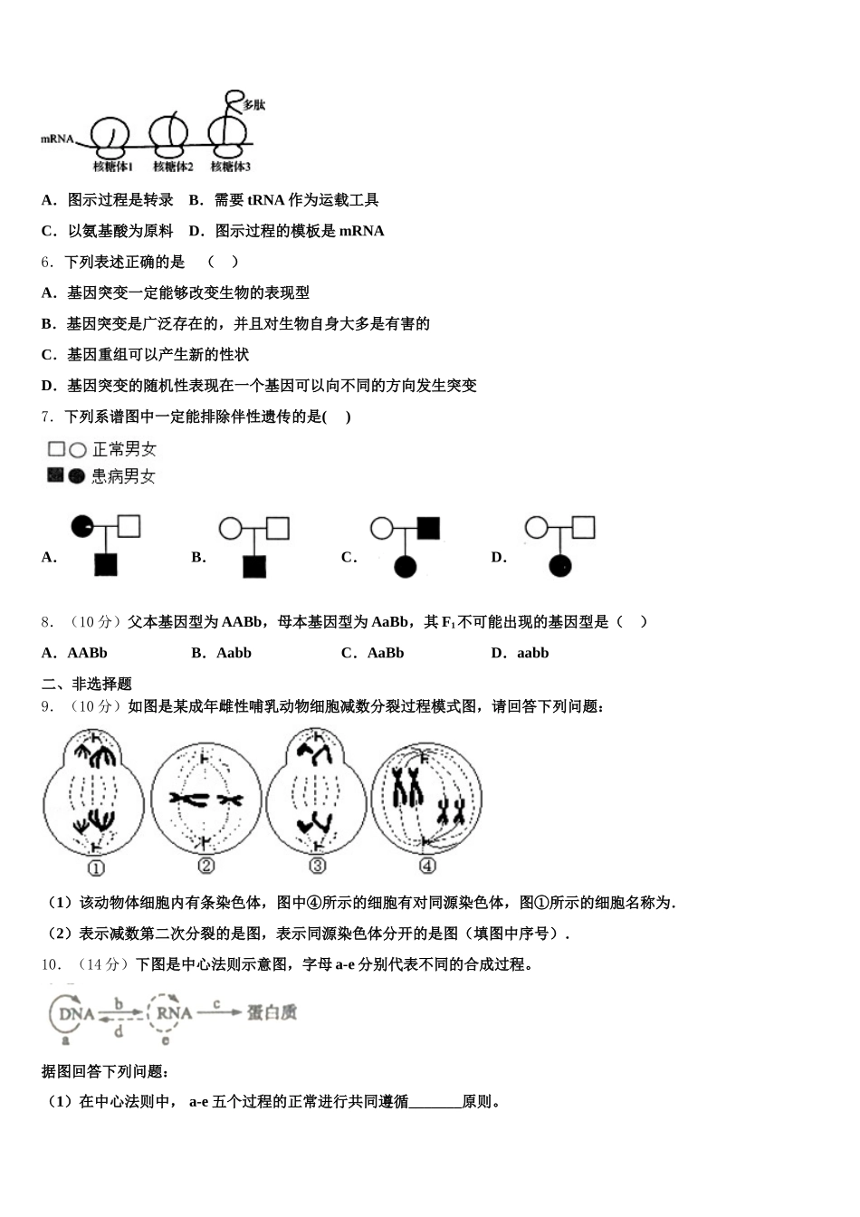 2025届山东省德州一中生物高一第二学期期末学业质量监测试题含解析_第2页