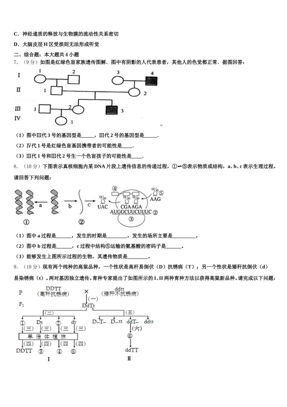 2025年山东省昌邑市第一中学生物高一第二学期期末达标检测模拟试题含解析_第2页