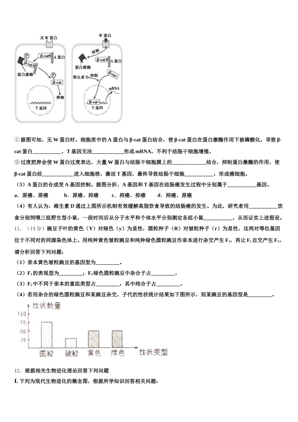 山东省滕州市第一中学2025年生物高一下期末综合测试模拟试题含解析_第3页