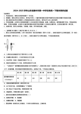 2024-2025学年山东省滕州市第一中学生物高一下期末调研试题含解析
