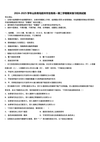 2024-2025学年山东青岛胶州市生物高一第二学期期末复习检测试题含解析