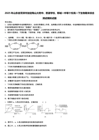2025年山东省菏泽市加定陶山大附中、思源学校、郓城一中等十校高一下生物期末综合测试模拟试题含解析
