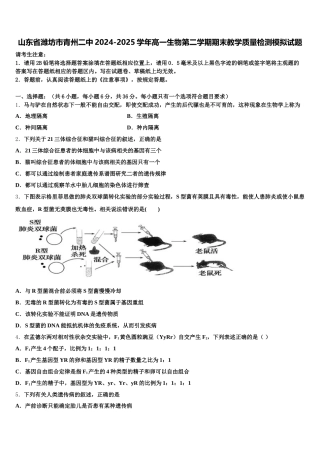 山东省潍坊市青州二中2024-2025学年高一生物第二学期期末教学质量检测模拟试题含解析