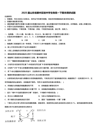 2025届山东省滕州实验中学生物高一下期末调研试题含解析