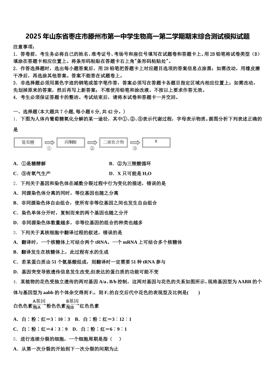 2025年山东省枣庄市滕州市第一中学生物高一第二学期期末综合测试模拟试题含解析_第1页