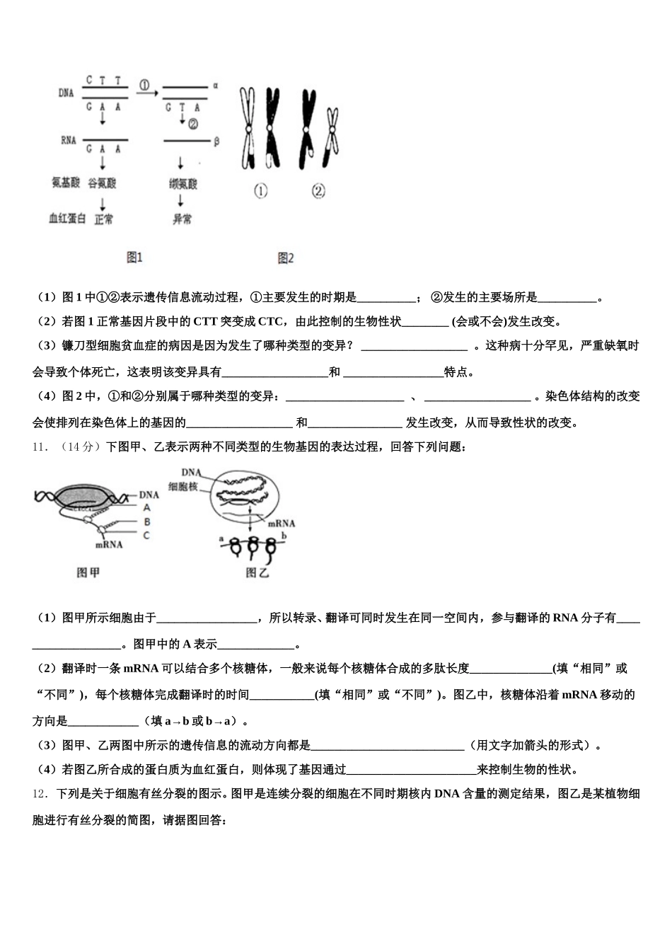 2025年山东省枣庄市滕州市第一中学生物高一第二学期期末综合测试模拟试题含解析_第3页