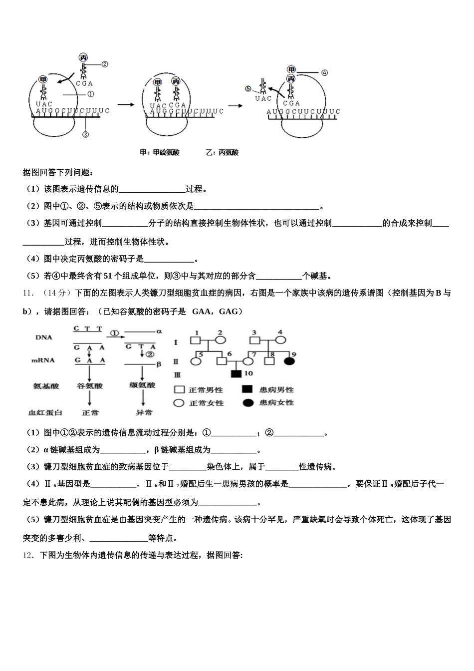 2024-2025学年山东省潍坊市第七中学高一生物第二学期期末监测试题含解析_第3页