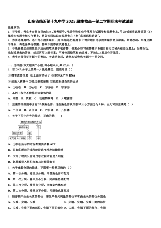 山东省临沂第十九中学2025届生物高一第二学期期末考试试题含解析