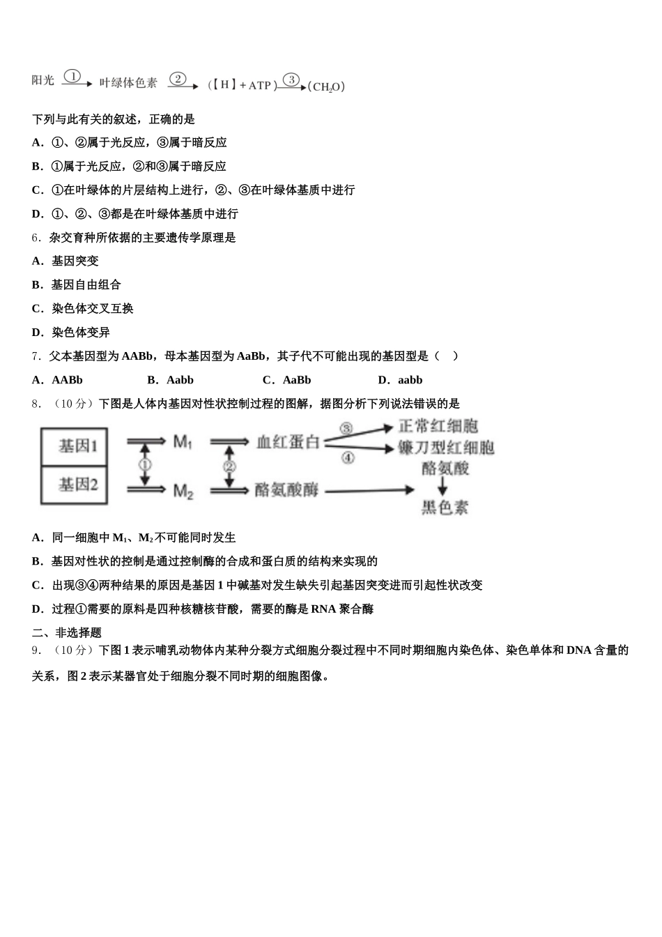 山东省东营市胜利二中2025届高一下生物期末经典试题含解析_第2页
