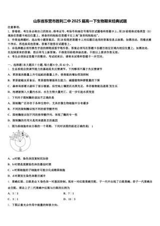 山东省东营市胜利二中2025届高一下生物期末经典试题含解析