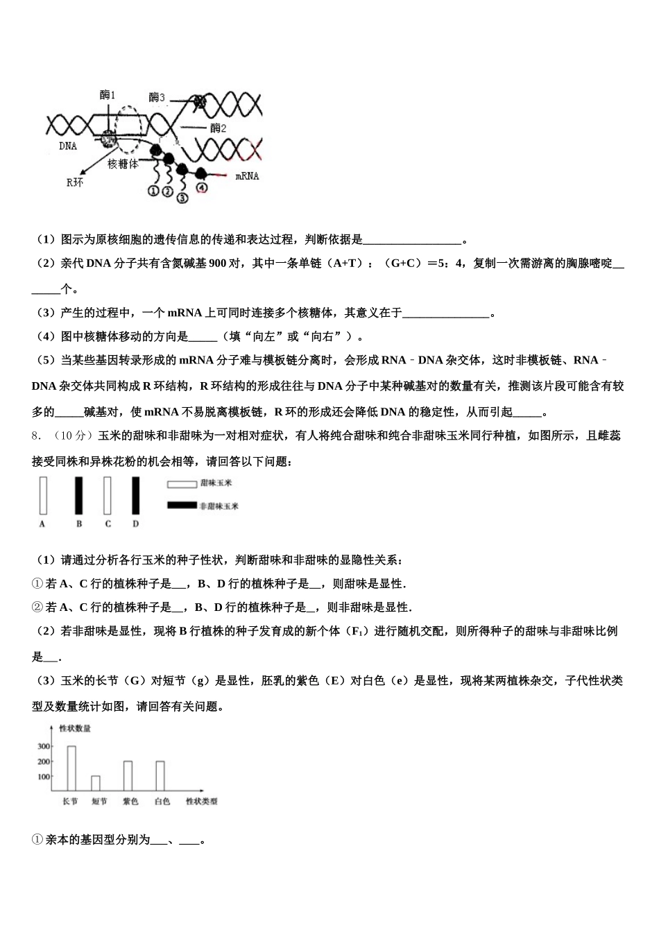 山东省滕州市第一中学2025年高一下生物期末达标检测模拟试题含解析_第2页