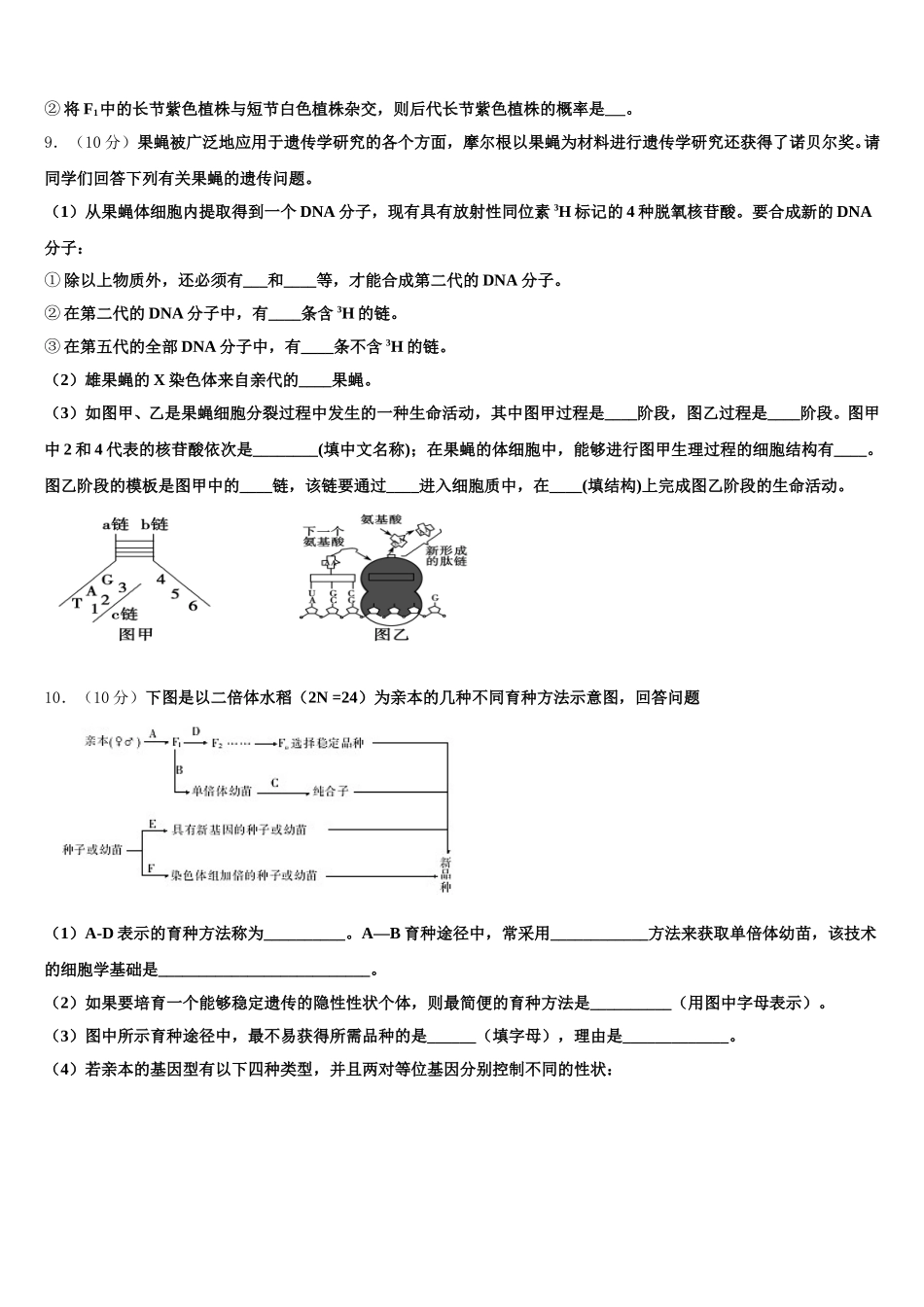山东省滕州市第一中学2025年高一下生物期末达标检测模拟试题含解析_第3页
