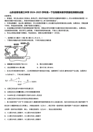 山东省青岛第三中学2024-2025学年高一下生物期末教学质量检测模拟试题含解析