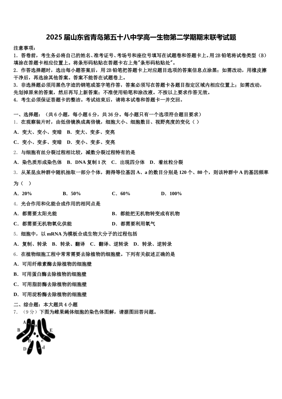 2025届山东省青岛第五十八中学高一生物第二学期期末联考试题含解析_第1页
