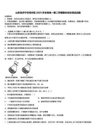 山东省济宁市兖州区2025年生物高一第二学期期末综合测试试题含解析