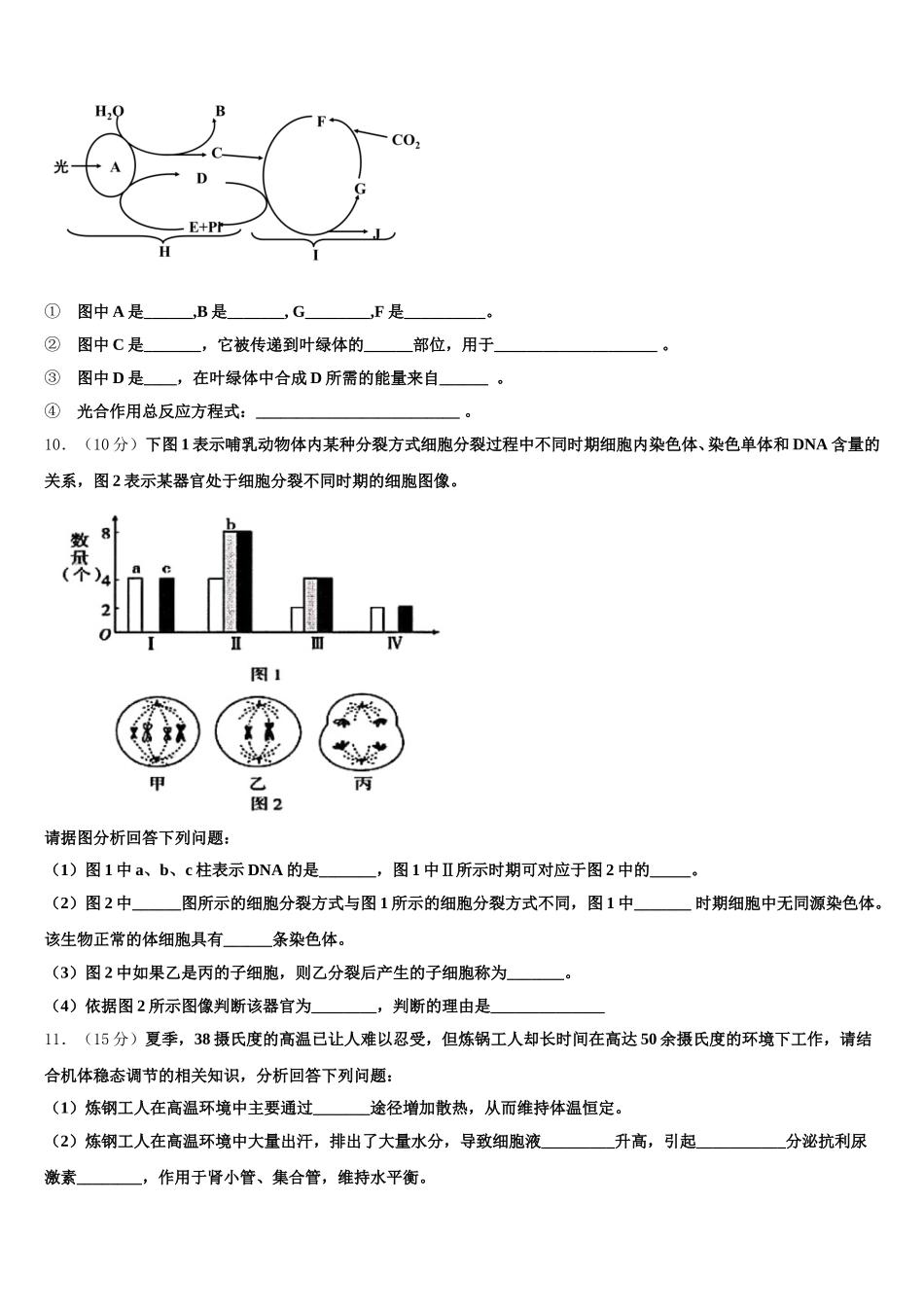 山东省泰安市第四中学2025届高一下生物期末监测模拟试题含解析_第3页